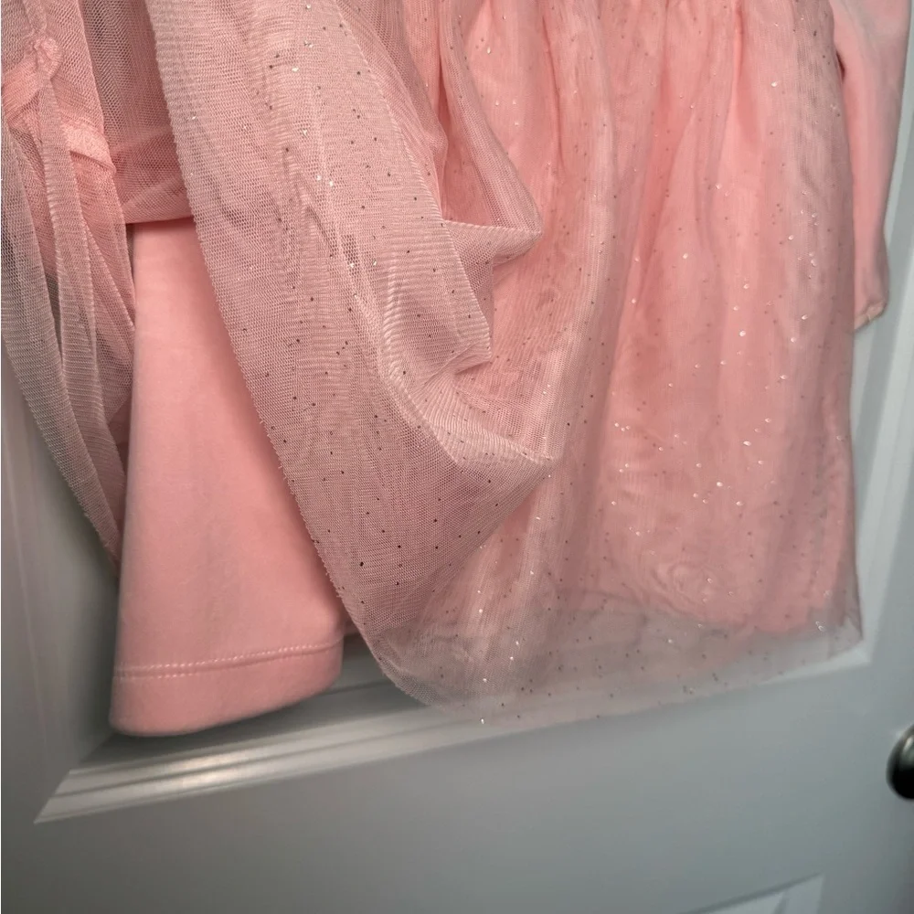 Hanna Andersson Pink Tulle & Velvet Long-Sleeve Party Dress